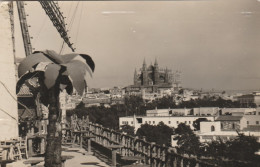 Isla - Baléares - Palma De Mallorca  -  Molinos Y Catedral - Palma De Mallorca