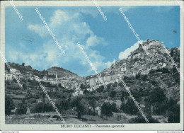 Bl428 Cartolina Muro Lucano Panorama Generale Provincia Di Potenza - Potenza