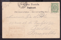 DDFF 891 -- Chateau D Ardenne à HOUYET - Carte-Vue TP Armoiries Cachet SERVICE POSTAL (RARE Lettres Hautes) 1901 - 1893-1907 Wappen
