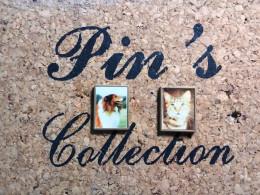 2 PIN'S  " CHIEN Et CHAT " _DP219 - Animaux