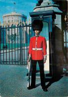 Angleterre - Windsor Castle - A Scots Guards Sentry At The Advanced Gate With The Round Tower In The Background - Châtea - Windsor Castle