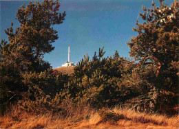 42 - Le Mont Pilat - La Tour De Télévision - CPM - Voir Scans Recto-Verso - Mont Pilat