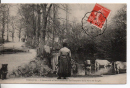Carte Postale Ancienne Verneuil - L'Abreuvoir Et Les Promenades Des Remparts De La Porte De L'Aigle - Agriculture,vaches - Verneuil-sur-Avre