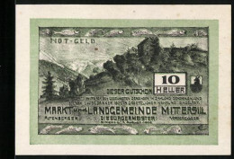 Notgeld Mittersill 1920, 10 Heller, Bergpartie, Wappen, Fische  - Austria