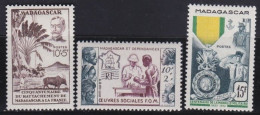 Madagascar   .  Y&T   .      3  Timbres     .       *    .      Neuf Avec Gomme - Nuovi