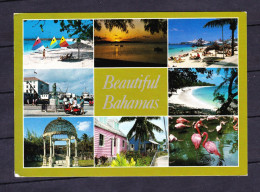 POSTCARD-BAHAMAS-SEE-SCAN - Bahama's