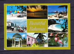 POSTCARD-BAHAMAS-SEE-SCAN - Bahamas