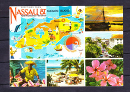 POSTCARD-BAHAMAS-SEE-SCAN - Bahamas