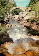 LOZERE MEYRUEIS LE PONT DU CAPELAN(scan Recto-verso) KEVREN0562 - Meyrueis