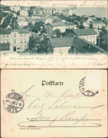 Ansichtskarte Sassnitz Stadtpartie Mit Villen 1899 - Sassnitz