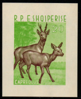 Albanien 1962 - Mi.Nr. Block 16 - Postfrisch MNH - Tiere Animals Rehe Deers - Gibier