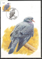 MAX Buzin 2002 Holenduif-Pigeon Colombin Cat.3069 - 2001-2010