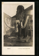 AK Modell Eines Mamut  - Elefanti