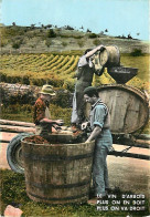 Vignes - Scènes De Vendanges - Les Vendanges Dans Le Jura - Arbois - Mention Photographie Véritable - Carte Dentelée - C - Vignes