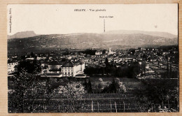 14501 / Photo-Editeur BERNARD - BELLEY Vue Générale 1er Mai 1904 à Juliette GINESTOUS Chez CORNU Cours Herbouville Lyon - Belley