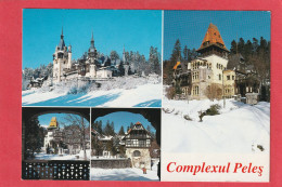 CPM  .  COMPLEXUL PELES . SINAIA    .  CARTE ECRITE AU VERSO - Rumänien