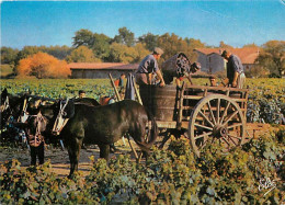 Vignes - Scènes De Vendanges - Chevaux - CPM - Voir Scans Recto-Verso - Vignes