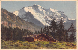 Wengen Kanton Bern, Hütte, Gebirge - Wengen