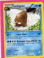 Carte Pokemon Francaise 2013 Noir Et Blanc Tempete Plasma 27/135 Cochignon 100pv Neuve - Nero E Bianco