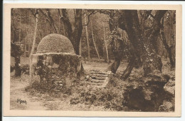 Sous Bois De La Rouve Vieux Puits Dit De Jacob   1930-40    N° - Tamaris