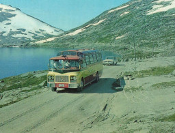 Autobus Ancien Marque Type Modèle ? * Norge , Parti Fra Vegen Grotli , Videseter * Norvège Norway * Bus Car Autocar - Buses & Coaches