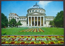 București / Bukarest / Bucharest - Ateneul Roman - Rumänien