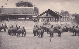 Elephant Hunt Chasse Chasses éléphants Ayuthaya Bangkok Issan Siam Thaïlande Thailand - Tailandia