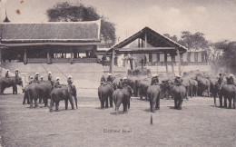 Elephant Hunt Chasse Chasses éléphants Ayuthaya Bangkok Issan Siam Thaïlande Thailand - Thailand