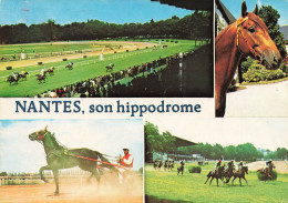 Nantes * Hippisme * Hippodrome Du Petit Port Dans Le Quartier Morrhonnière * Hippique Cheval Chevaux - Nantes