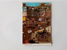 Carte Postale - Angleterre - Piccadilly Circus London    (2Lpbxg) - Piccadilly Circus