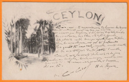 Poème De HENRI DE REGNIER Sur Carte Postale De THAINGUYEN, Tonkin Pour M. CROS, St Georges De Luzençon, Aveyron (1902) - Manuscrits