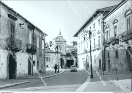 Bg583 Cartolina Pescopagano Corso Umberto I Provincia Di Potenza - Potenza