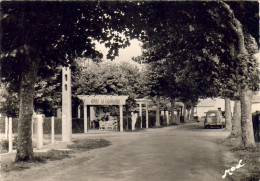 D33  ARÈS Rue Du XIV Juillet  .......... Avec Juva 4 Renault  .......... Carte Peu Courante - Arès