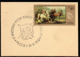 POLAND 1972 VI PEDIGREE DOG SHOW IN PLOCK SPECIAL CANCEL ON CARD POLISH DOGS BOXER - Honden