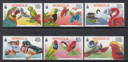 2012 Mongolia Birds Oiseaux Parrots Flamingos Ducks Complete Set Of 6 MNH - Mongolie