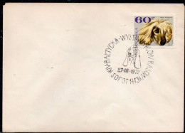 POLAND 1972 XIV BALTIC PEDIGREE DOG SHOW SOPOT SPECIAL CANCEL ON COVER BASSET HOUND DOGS POLISH - Honden