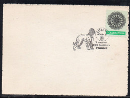 POLAND 1972 V PEDIGREE DOG SHOW IN RZESZOW SPECIAL CANCEL ON CARD POLISH DOGS SALUKI - Honden