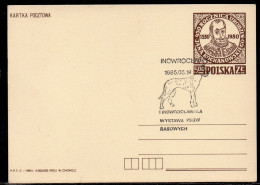 POLAND 1985 PEDIGREE DOG SHOW INOWROCLAW SPECIAL CANCEL ON PC POLISH DOGS GREAT DANE - Honden