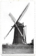 CPA Arendonk, Molen-Wampenberg - Arendonk