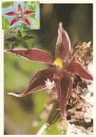2005  Orchidee  Dijon - 2000-2009