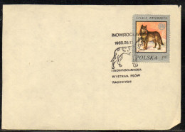 POLAND 1985 I PEDIGREE DOG SHOW INOWROCLAW SPECIAL CANCEL ON PAPER GREAT DANE DOGS POLISH - Honden