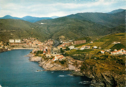 PYRENEES ORIENTALES CERBERE VUE GENERALE  (scan Recto-verso) KEVREN0487 - Cerbere