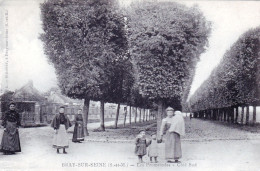 77 - Seine Et Marne - BRAY Sur SEINE -   Les Promenades - Bray Sur Seine