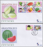 SURINAME 2013 FDC Fruits Früchte Vruchten 8v – OFFICIAL ISSUE – DHQ49610 - Fruits