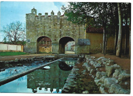 ARCO DE SAN SEBASTIAN (SIGLO XVI) / SAN SEBASTIAN'S ARCH (XVI Century).- MEDINA DE RIOSECO / VALLADOLID.- ( ESPAÑA ) - Valladolid