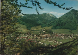 47332 - Ruhpolding - Blick Zum Hochfelln - Ca. 1980 - Ruhpolding