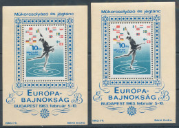 1963. European Figure Skating Championships - Block - Misprint - Abarten Und Kuriositäten