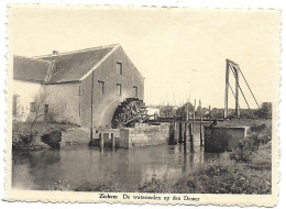 CPA Zichem, De Watermolen Op Den Demer - Scherpenheuvel-Zichem