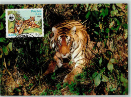 10507102 - Raubkatzen Tiger - WWF Karte Mit Briefmarke - Leeuwen