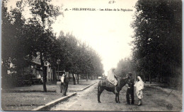 ALGERIE - PHILIPPEVILLE - Les Allees De La Pepiniere. - Skikda (Philippeville)